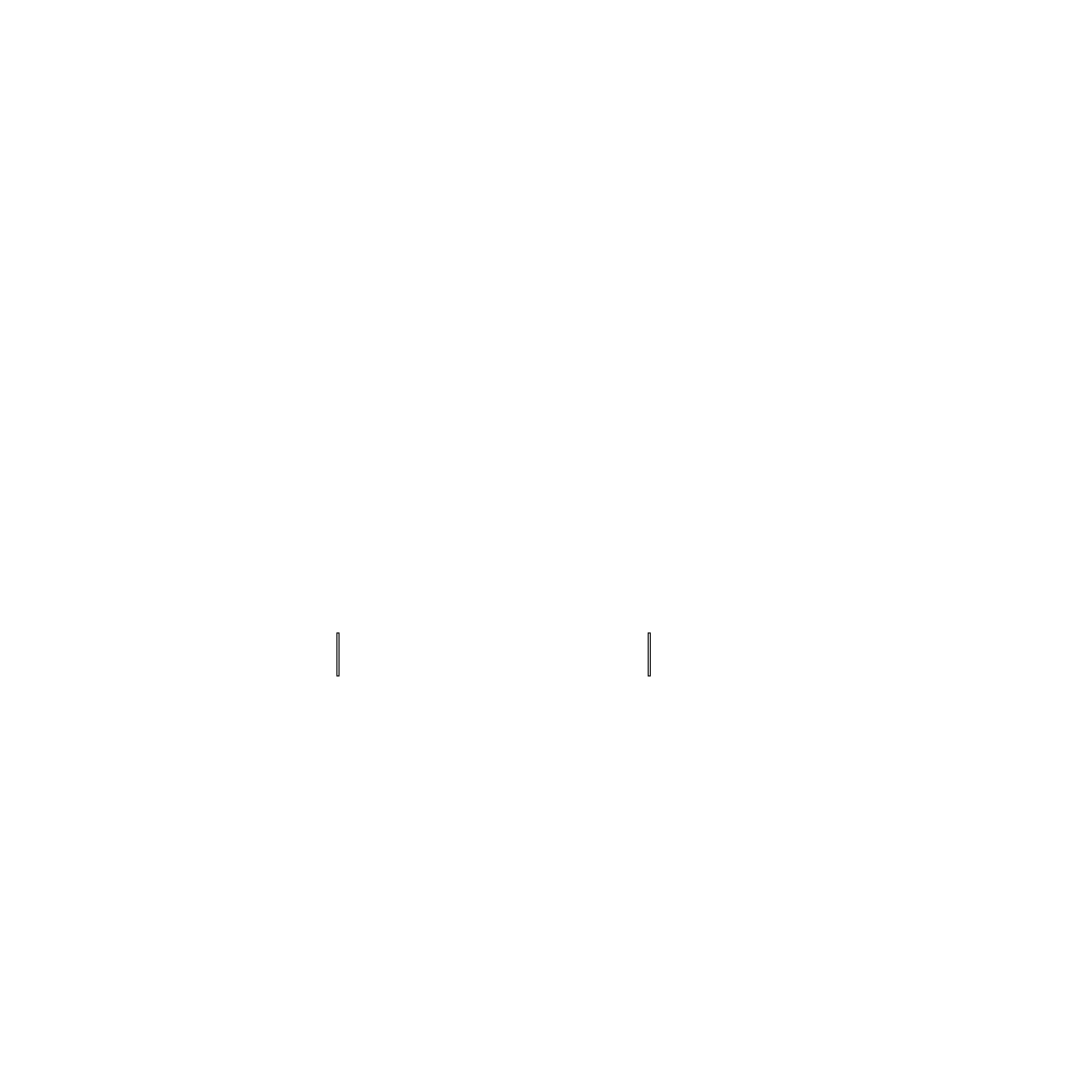 shahzeerabiryani